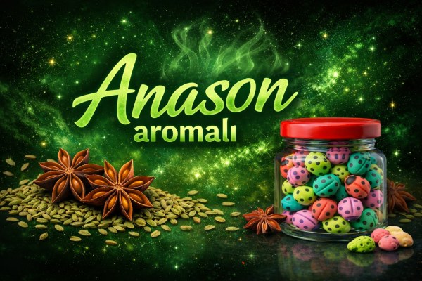 ANASONLU UĞUR BÖCEĞİ